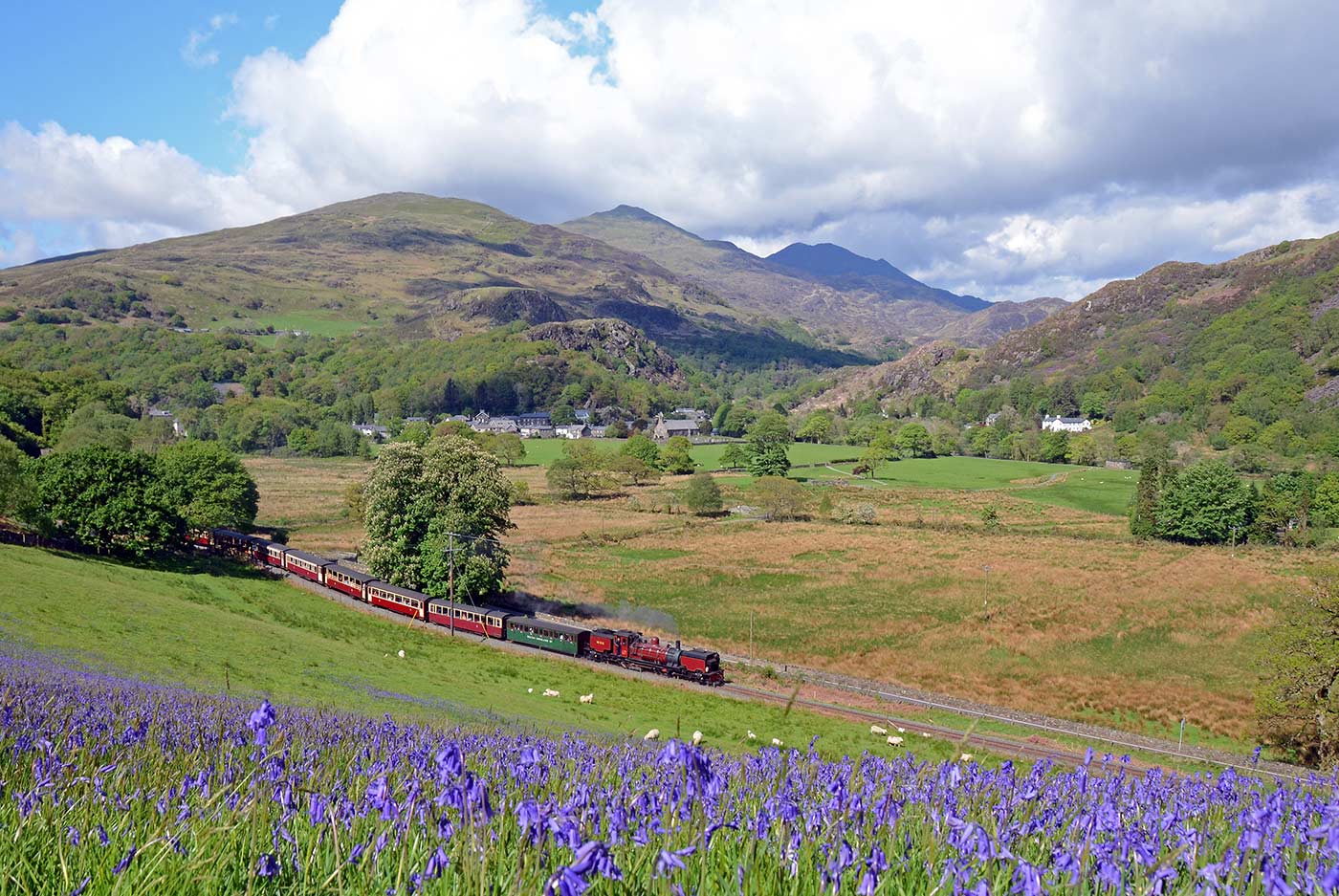 Scenic steam train travelling along the Welsh Highland Railway