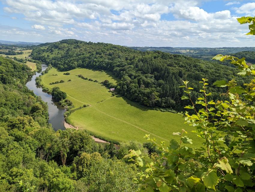 View of Forest of Dean, from above
