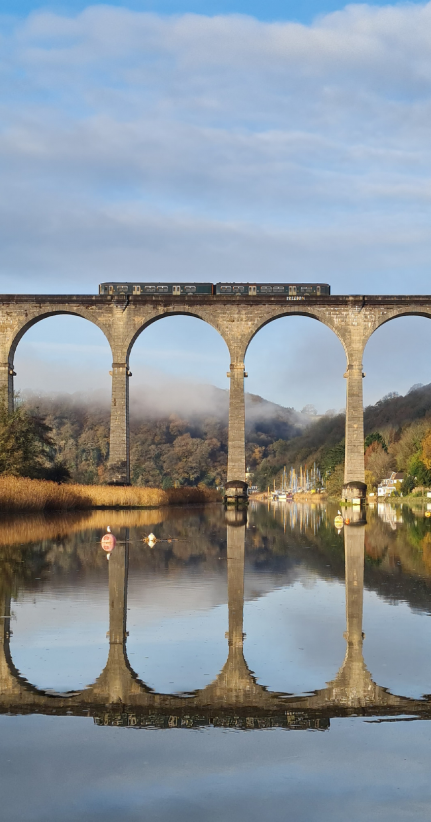 Train travelling across Calstock Viaduct in the winter sun