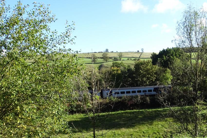 Countryside views with train and blue sky