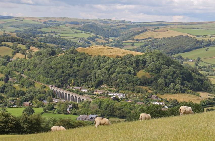 Field of sheep grazing with vast green countryside and train cutting through the middle