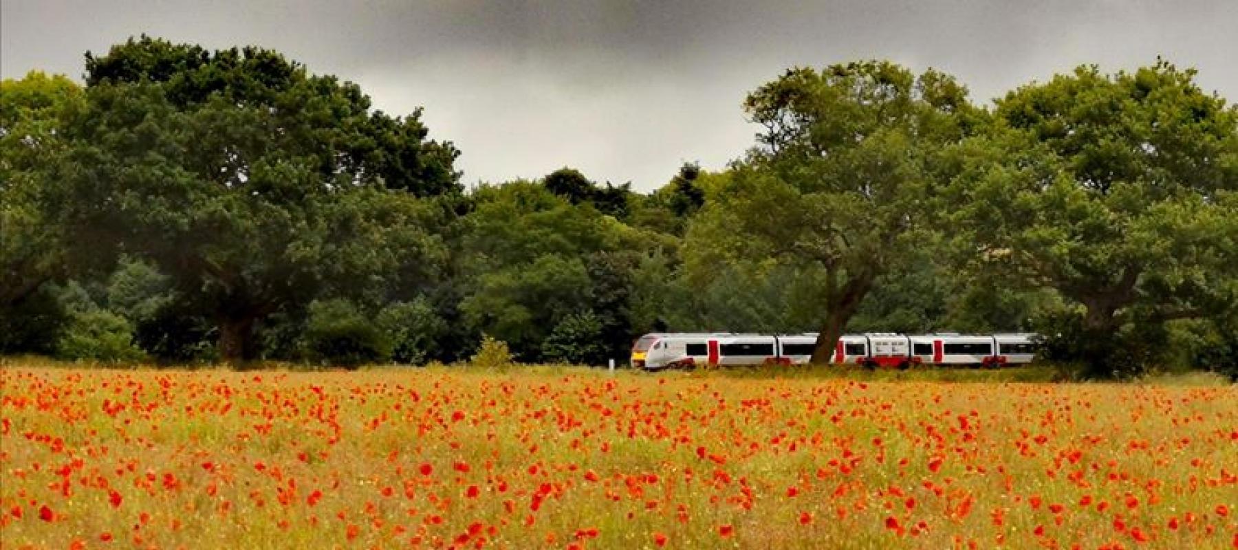Greater Anglia train travelling through field