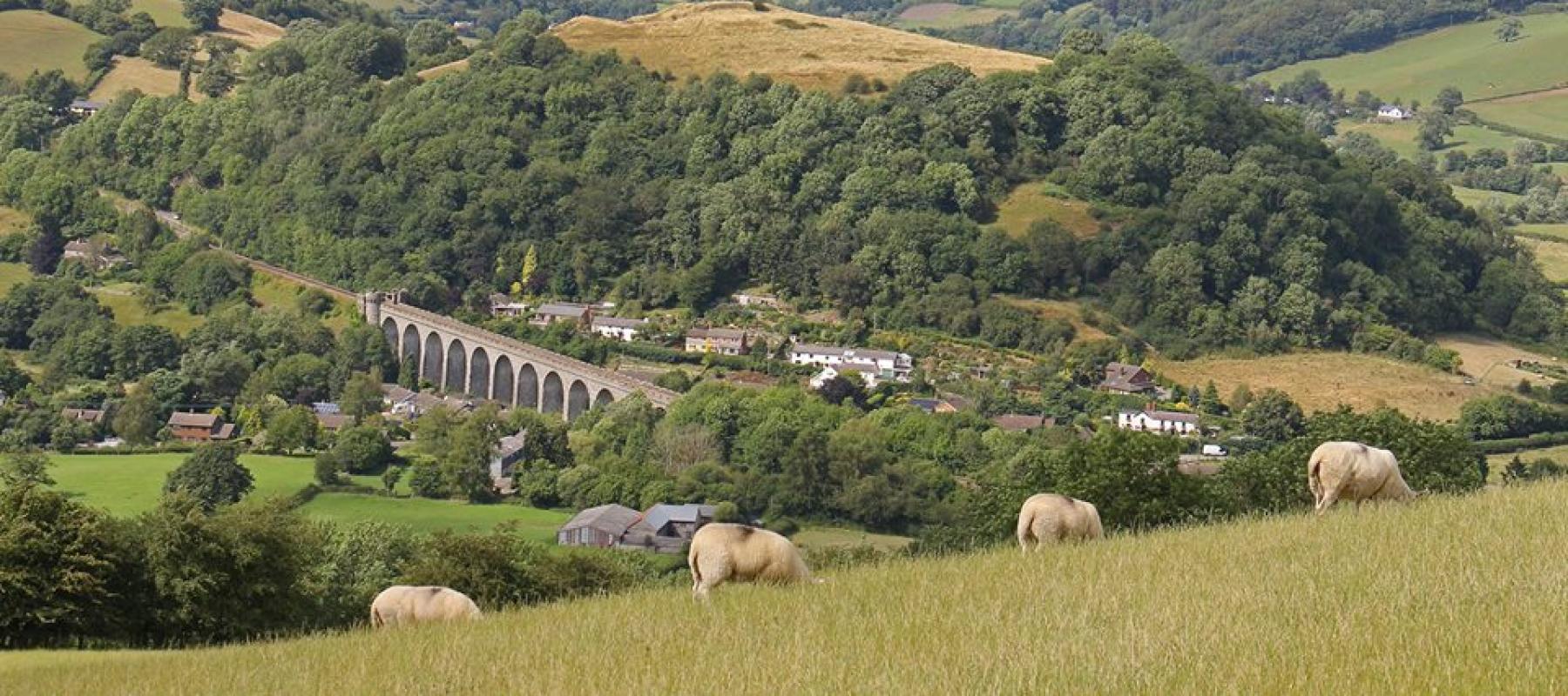 Explore the beauty of the Heart of Wales Line