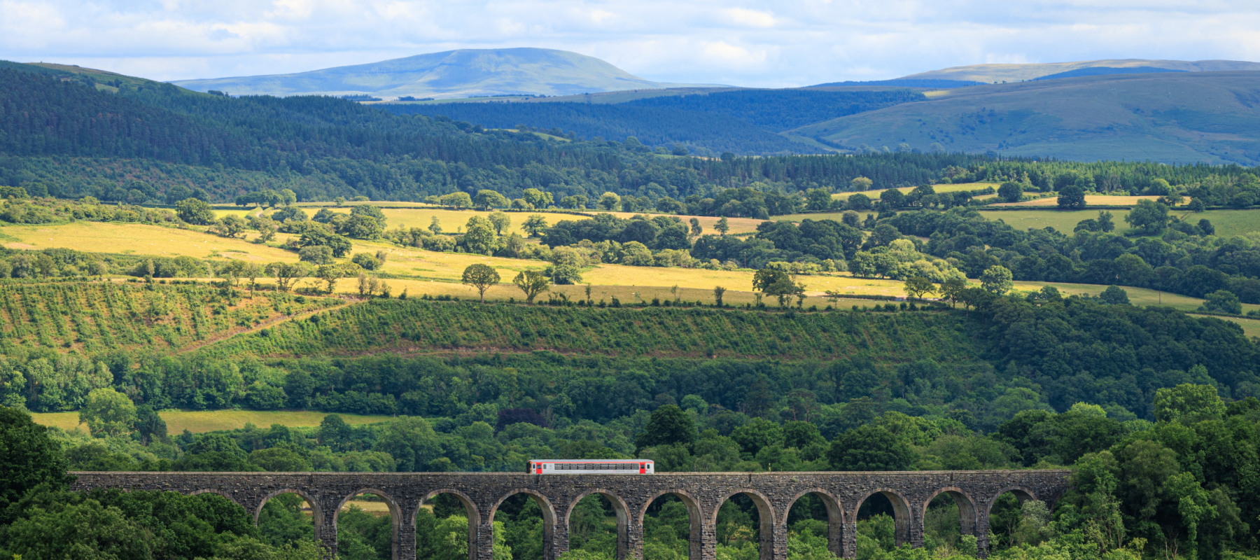 Train travelling across viaduct surrounded by lush green Welsh countryside