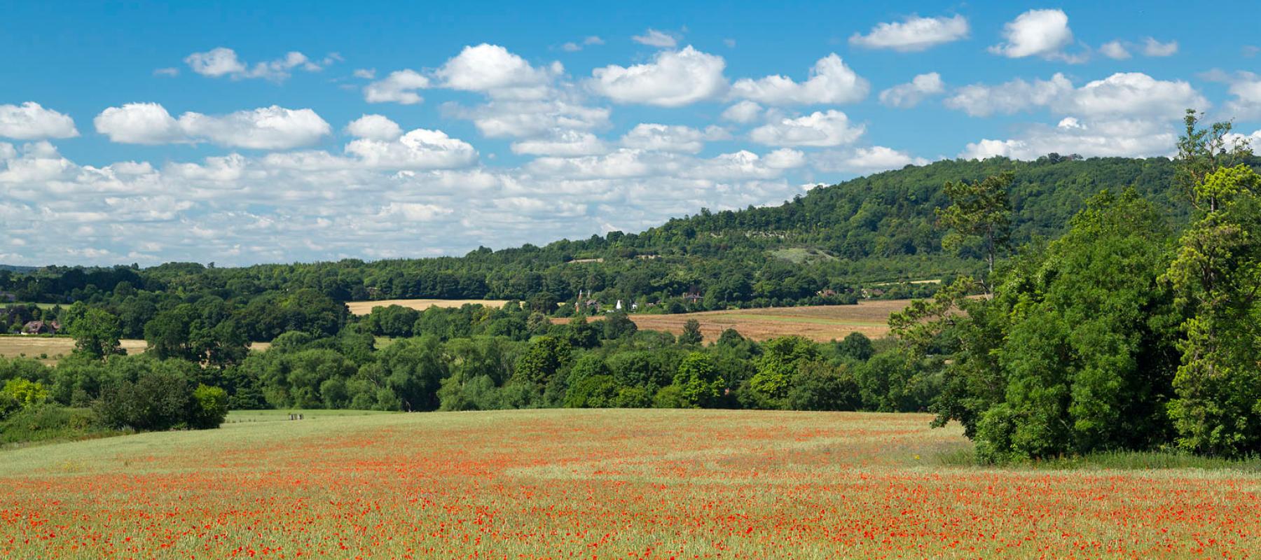 Countryside views along the Darent Valley