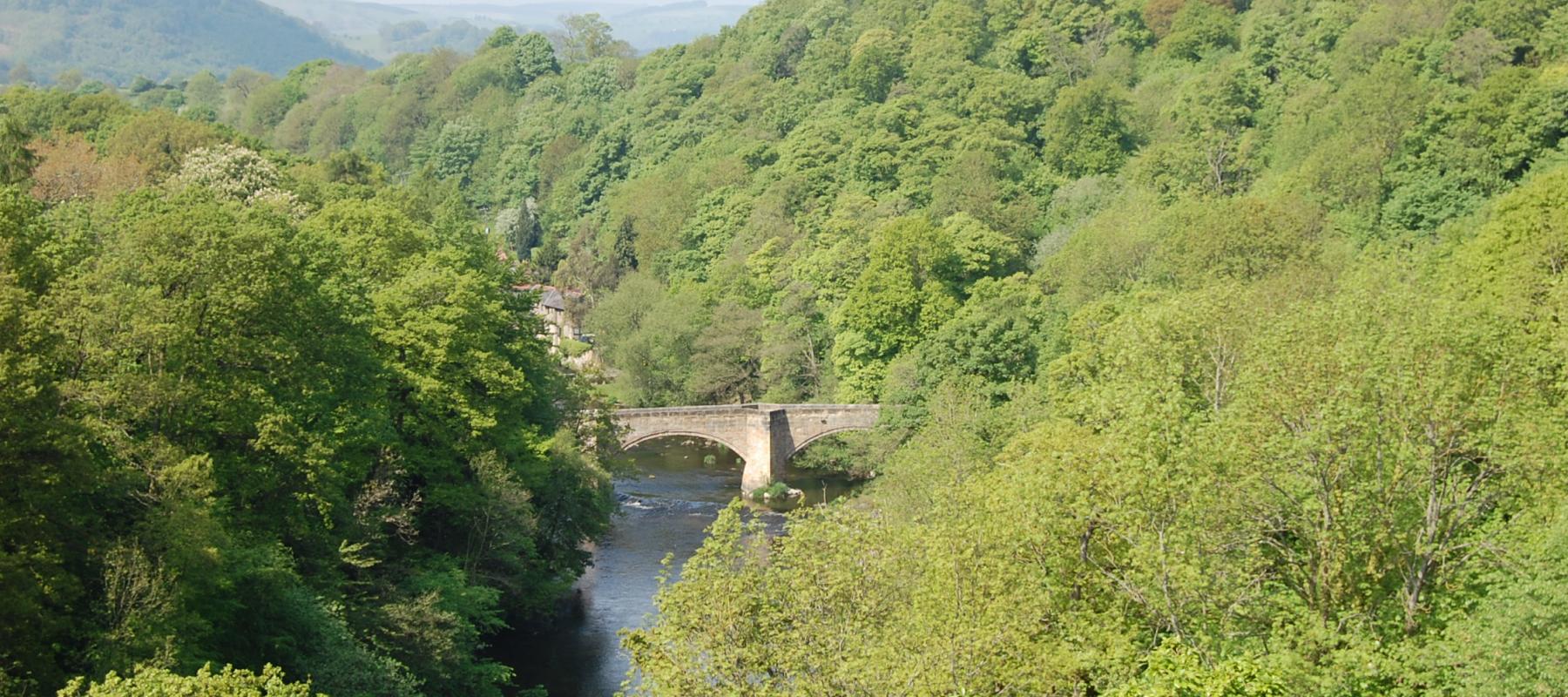 View of a wooded valley from Ponycysyllte